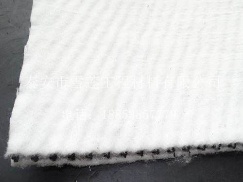 復(fù)合排水板